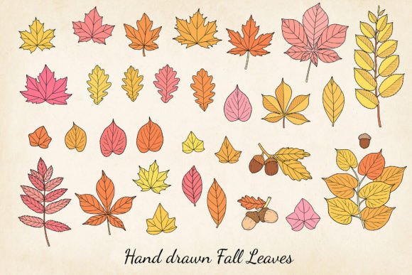 Download Hand-drawn Autumn Leaves SVG Bundle - Svg Collection